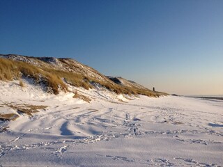 Vakantiehuis Dishoek Omgeving 19