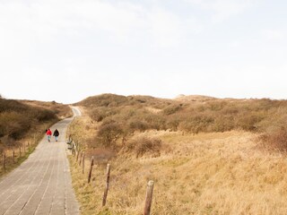Vakantiehuis Dishoek Omgeving 16