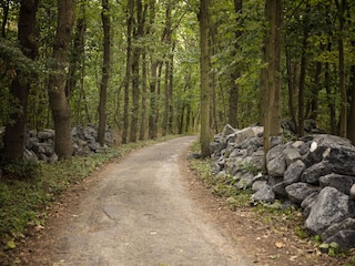 Holiday house Dishoek Environment 22