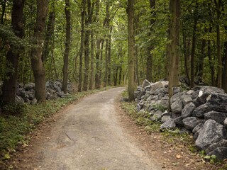 Vakantiehuis Dishoek Omgeving 18