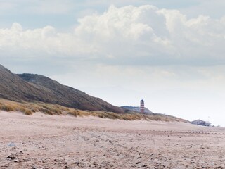 Vakantiehuis Dishoek Omgeving 19