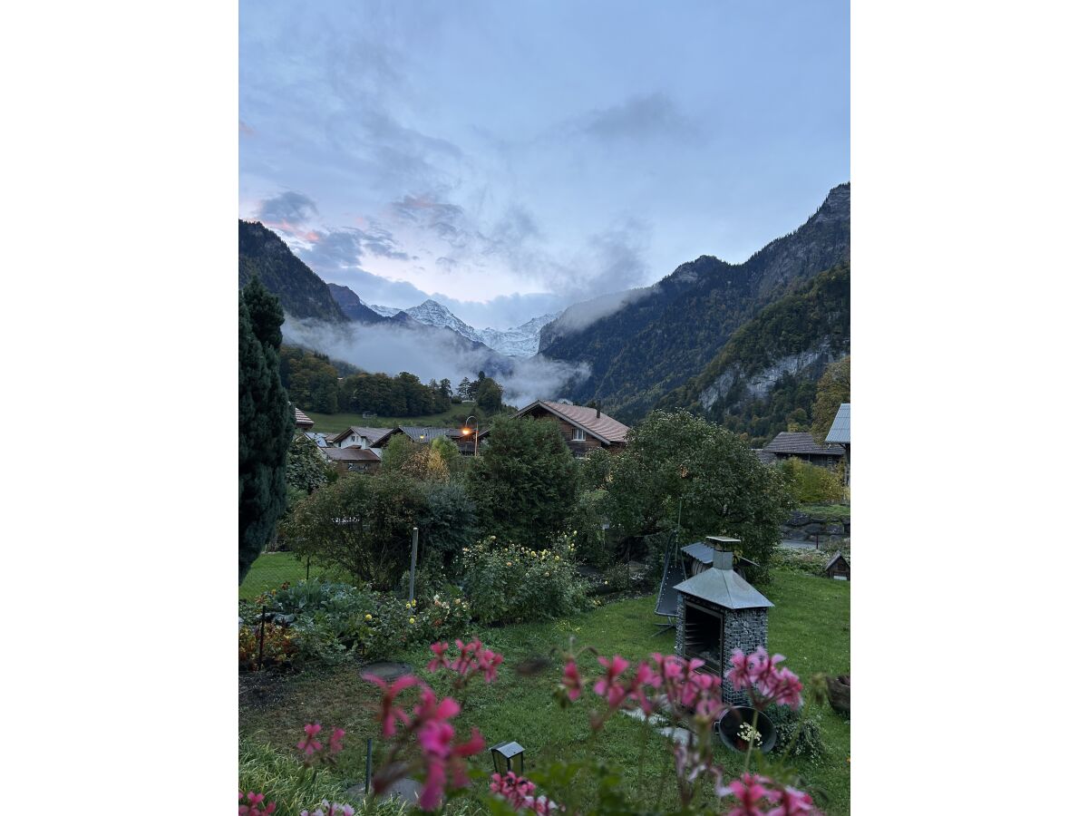 Ausblick auf den Garten