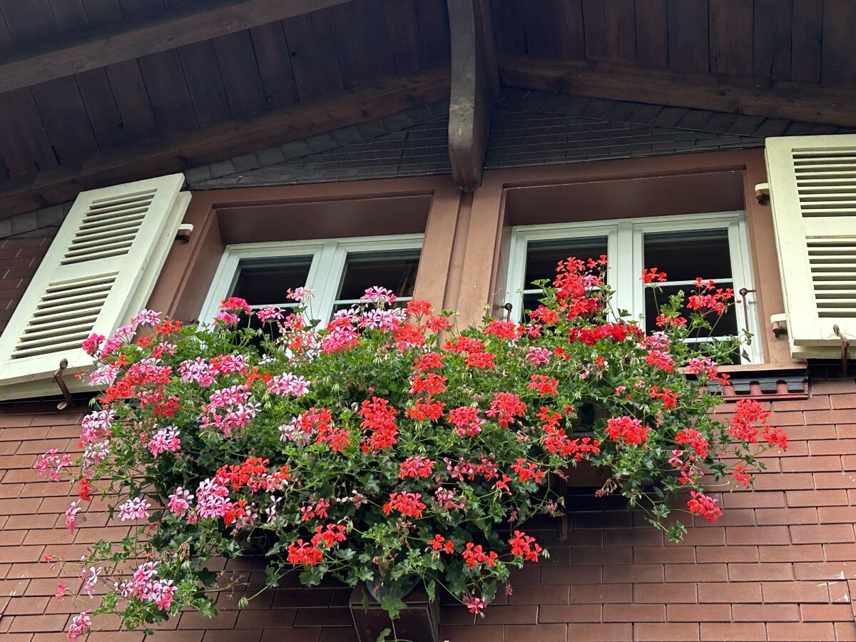 Blumenschmuck vor der Ferienwohnung