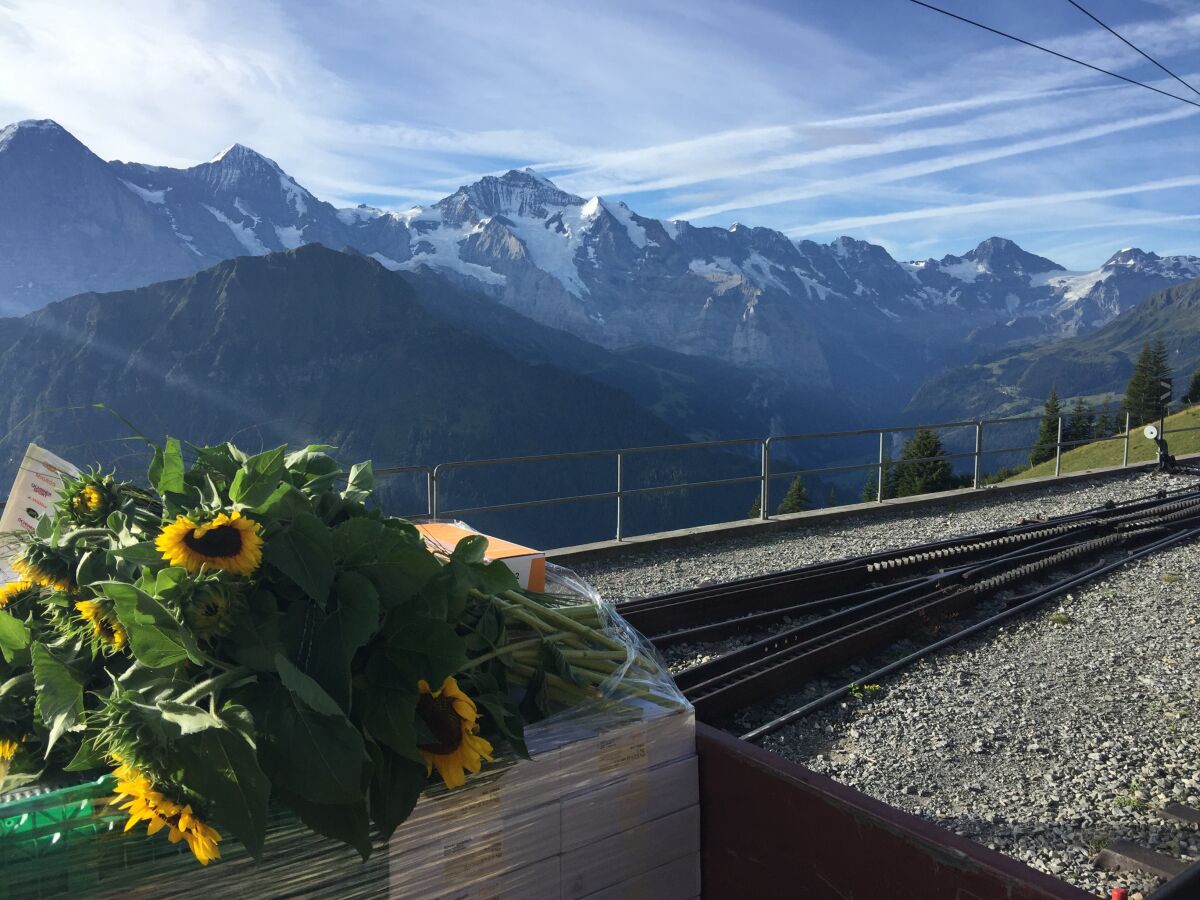 Ausflugsziel Schynige Platte