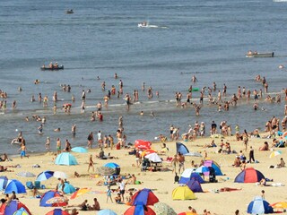 Holiday apartment Egmond aan Zee Environment 15