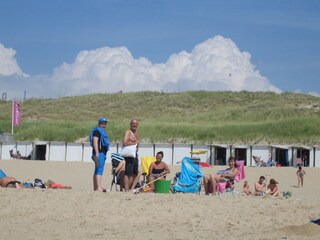 Holiday apartment Egmond aan Zee Environment 18