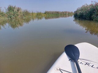 Mit dem SUP auf dem Siel unterwegs