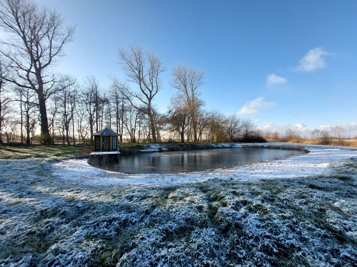 Unser Teich im Winter