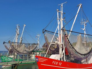Kutter im Hafen