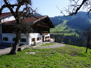 Ferienhaus Berghütte Moser-Hütte - Oberaudorf - image1