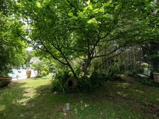 Holiday house Ganges Outdoor Recording 10