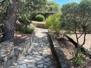 Ferienhaus Vidauban Außenaufnahme 3