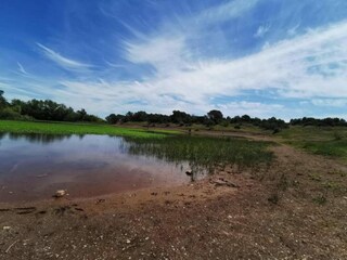 Holiday house Vidauban Environment 25