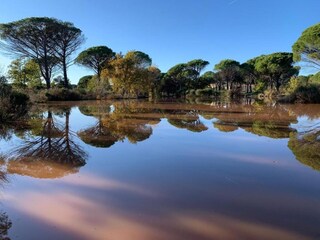 Maison de vacances Vidauban Environnement 29
