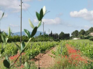 Maison de vacances Vidauban Environnement 28