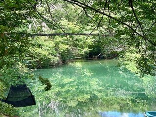 Maison de vacances Vidauban Environnement 28