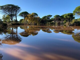 Holiday house Vidauban Environment 38