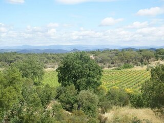 Maison de vacances Vidauban Environnement 23