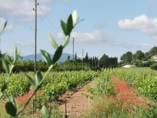 Ferienhaus Vidauban Umgebung 38