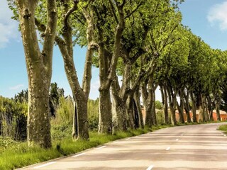 Casa per le vacanze Vidauban Ambiente 40