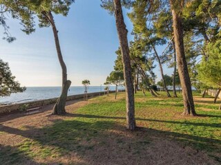 Villa Novigrad (Istrien) Entorno 36