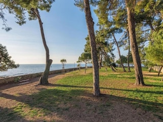 Villa Novigrad (Istrien) Environnement 34