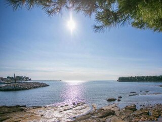 Villa Novigrad (Istrien) Omgeving 31