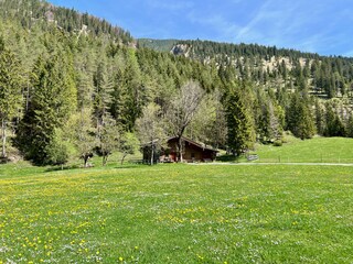 Blick auf die Hütte