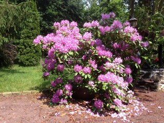 Casa de vacaciones Kobern-Gondorf Grabación al aire libre 26