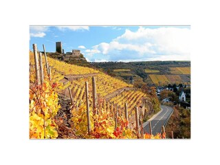 Vakantiehuis Kobern-Gondorf Omgeving 32