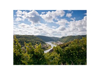 Casa per le vacanze Kobern-Gondorf Ambiente 33