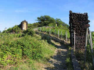 Vakantiehuis Kobern-Gondorf Omgeving 30