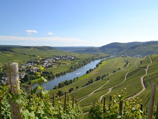 Holiday apartment Osann-Monzel Environment 18