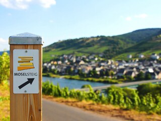 Moselsteig
