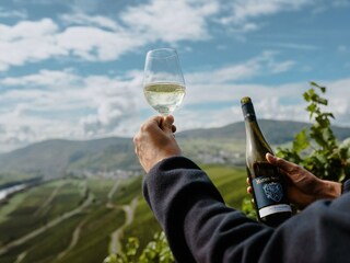 Discover the Moselle wine