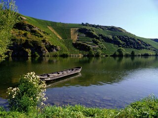 Enjoy nature