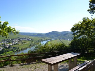 Holiday apartment Osann-Monzel Environment 25