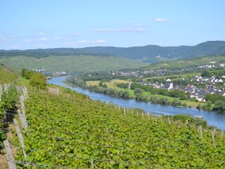 Holiday apartment Osann-Monzel Environment 28
