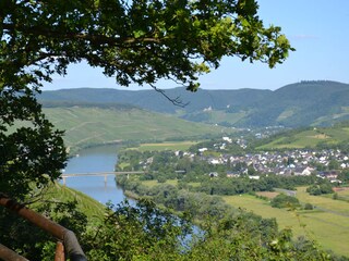 Holiday apartment Osann-Monzel Environment 29