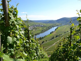 Holiday apartment Osann-Monzel Environment 33