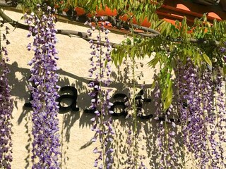 Villa Caunes-Minervois  48