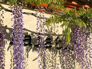 Villa Caunes-Minervois  39