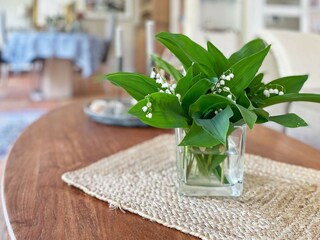 Ferienhaus Göteborg  16