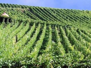 Appartamento Essen Ambiente 29