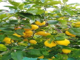 Apartamento Essen Entorno 26