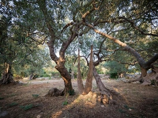 Apartamento Essen Entorno 35