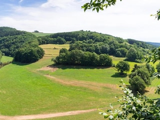 Apartment Essen Environment 27