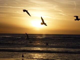 Bungalow Julianadorp Umgebung 33