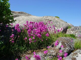 Holiday house Strömstad  15