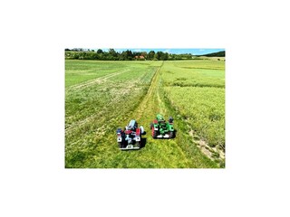 Apartment Gielow Environment 14